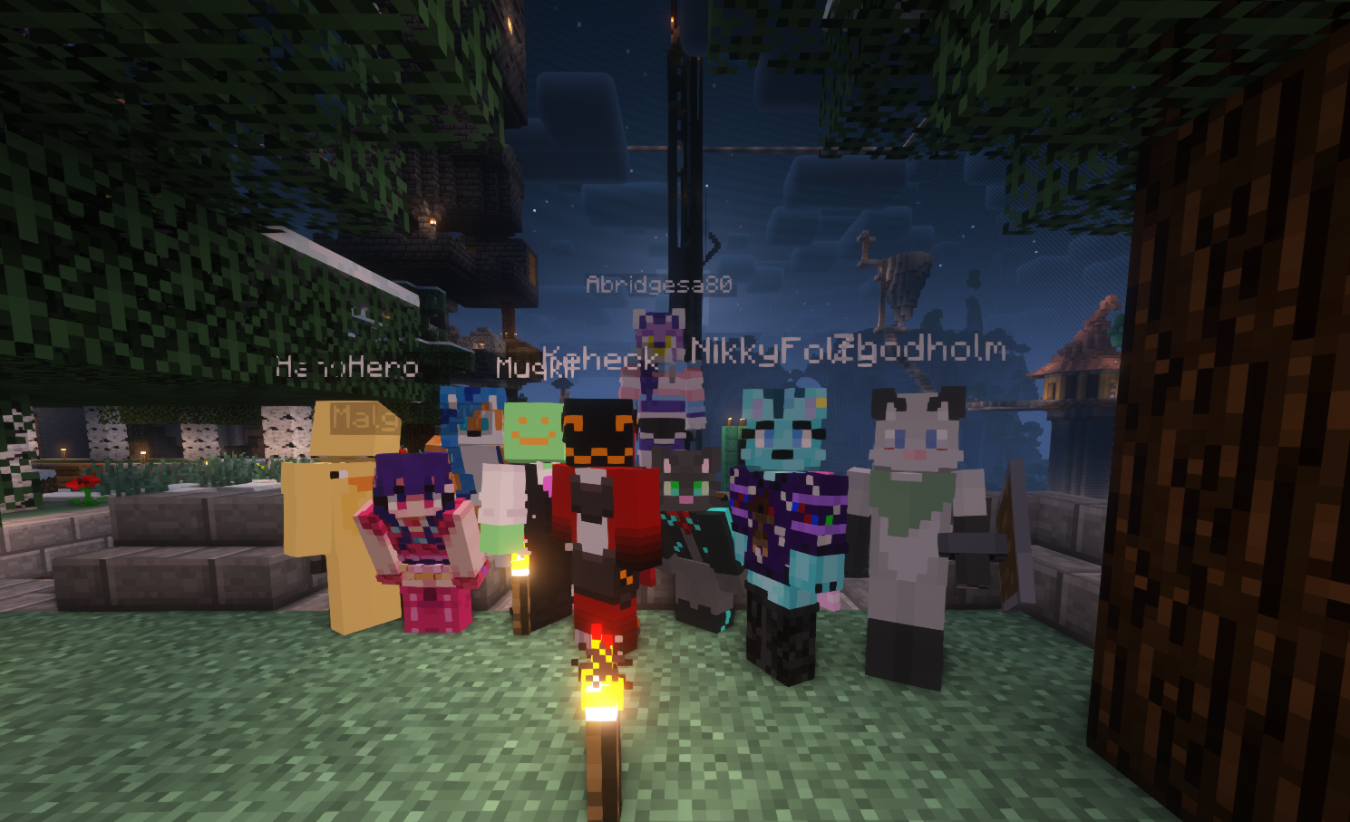 group photo of many server members